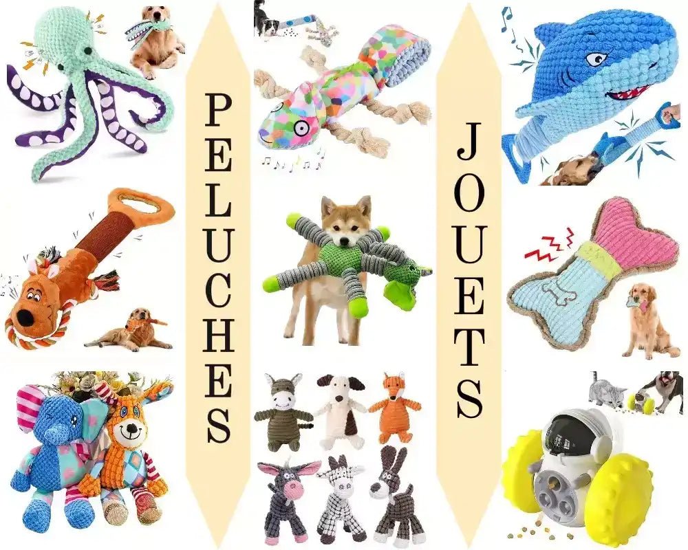 Collage de jouets à mâcher, jouets interactifs et accessoires pour chien.