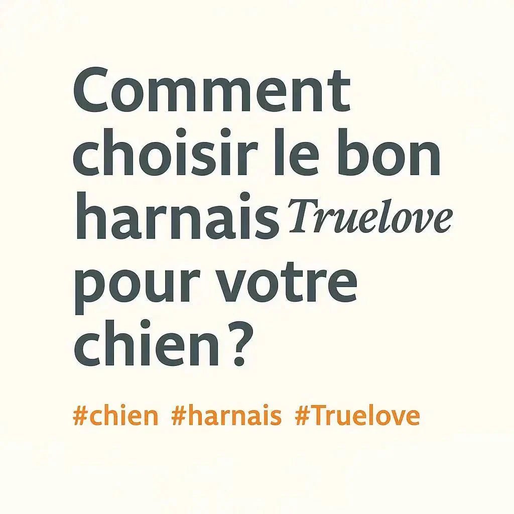 👉 Comment choisir le bon harnais Truelove pour votre chien ? - Pattes et Trésors