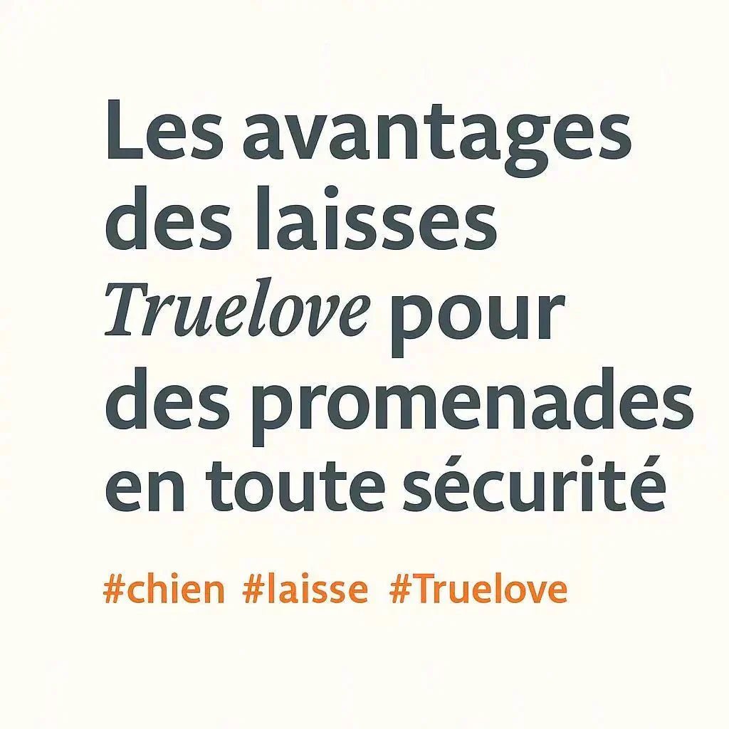 👉 Les avantages des laisses Truelove pour des promenades en toute sécurité - Pattes et Trésors