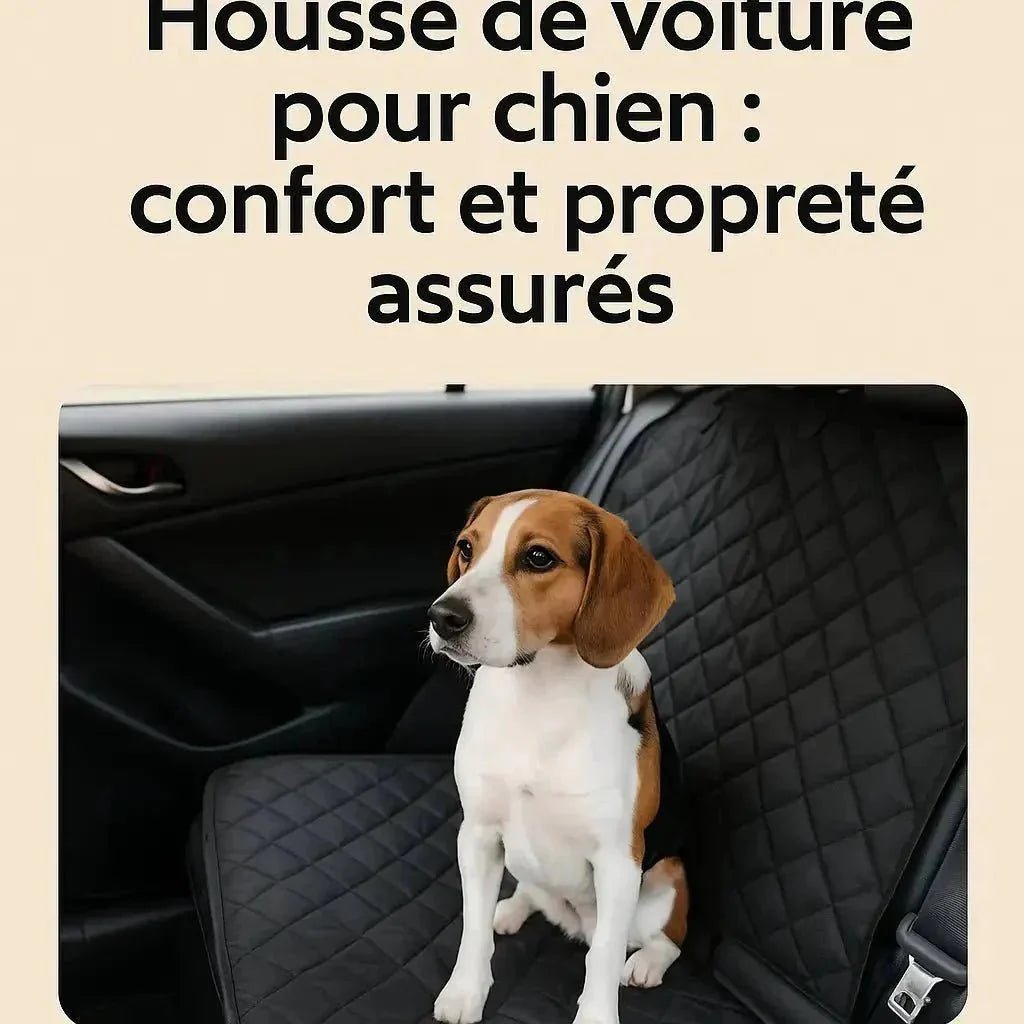 Protégez votre Voiture avec des Accessoires pour Chien Chez Pattes - Pattes et Trésors
