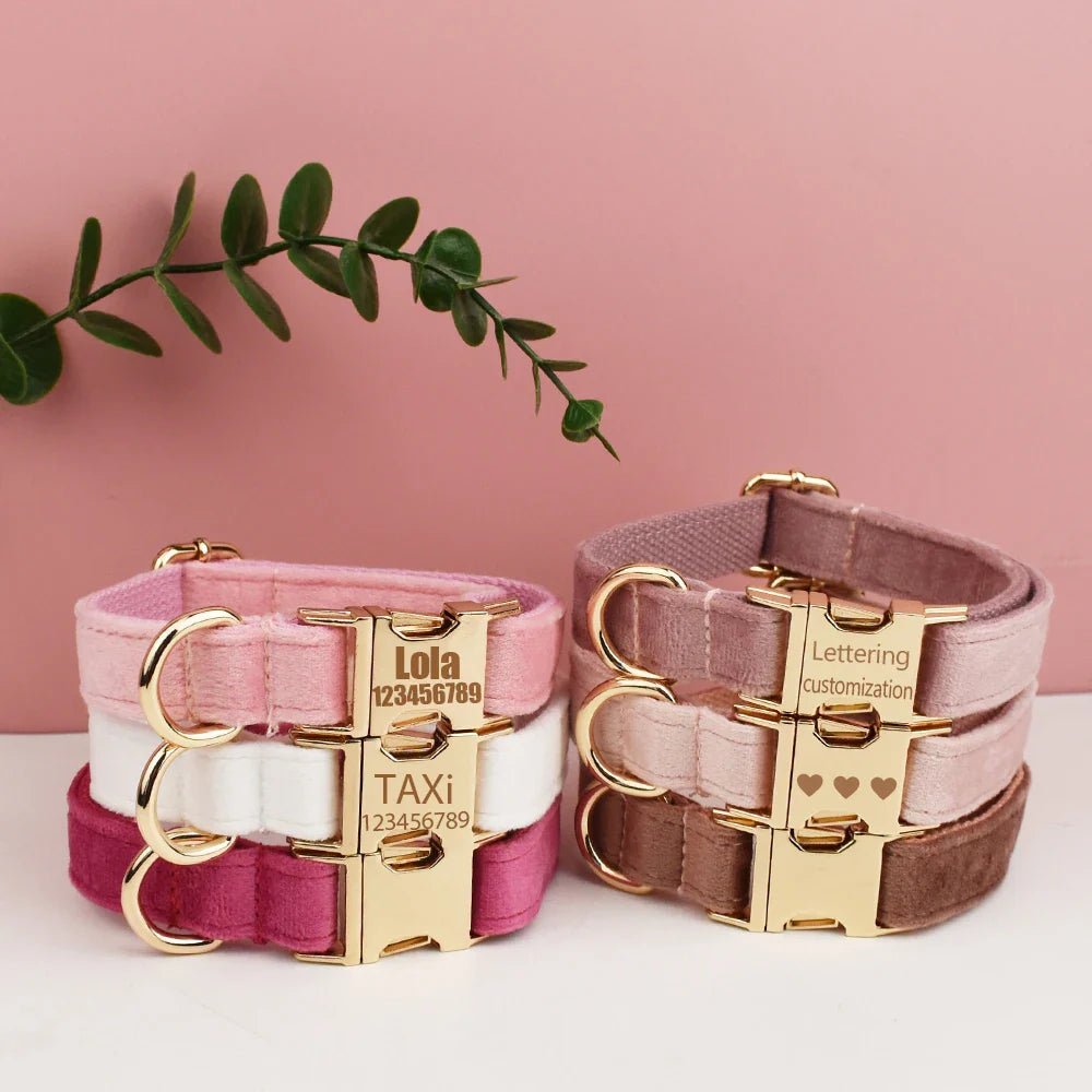 Accessoires personnalisés pour chiens