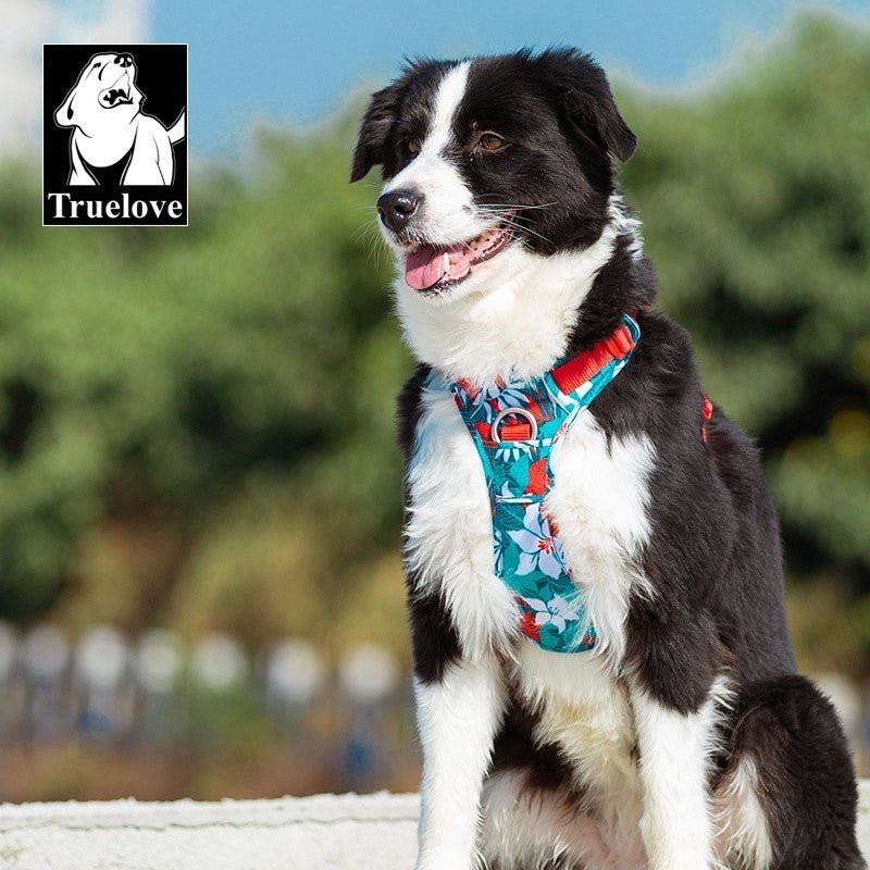Harnais pour chien Truelove confortable et sécurisée