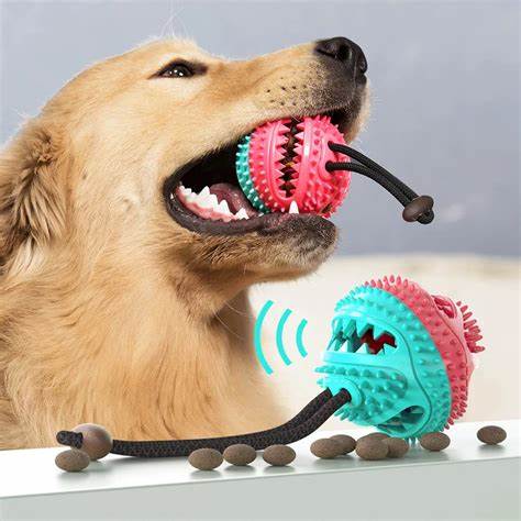 Jouets et Divertissements - Pattes et Trésors