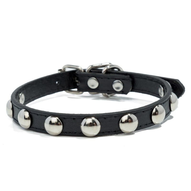 1pc Mushroom Rivet Pet Collar Stainless Steel Dog Collar with Dog Chain - Black / XL