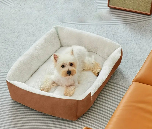 Coussin pour chien en peluche cozy pour extra small avec un petit chien blanc