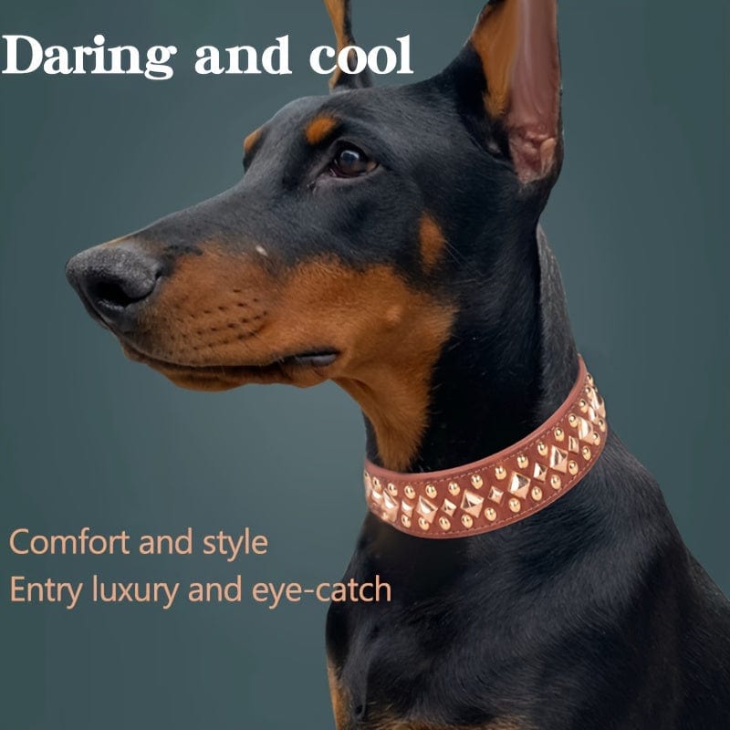 Collier pour chien en cuir marron avec studs dorés, parfait pour accessoires pour chiens