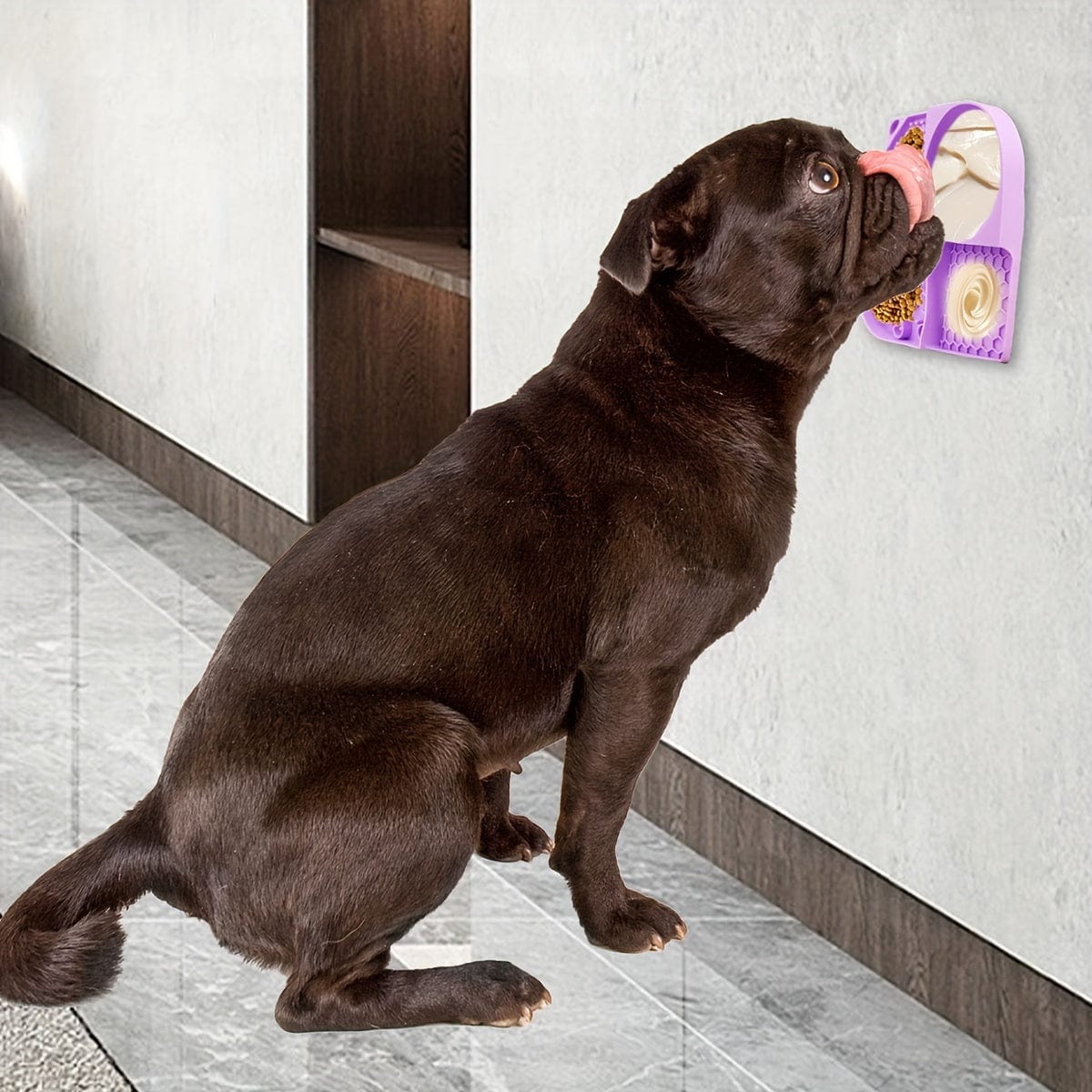 Chien marron léchant le distributeur mural, un accessoire pour chiens, panneau de slow food
