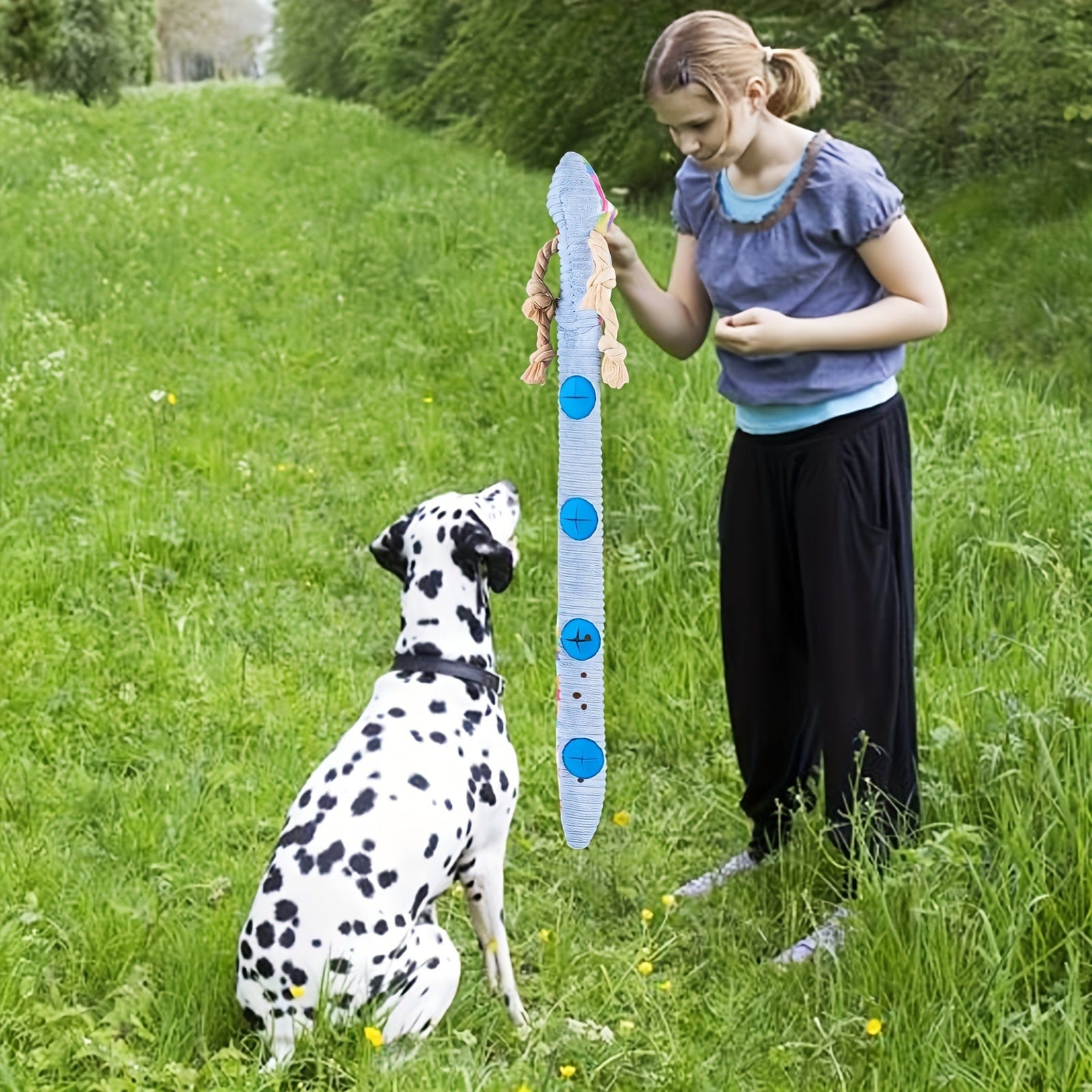 Jouet de dressage pour chien en peluche géométrique, résistant, pour toutes tailles de race