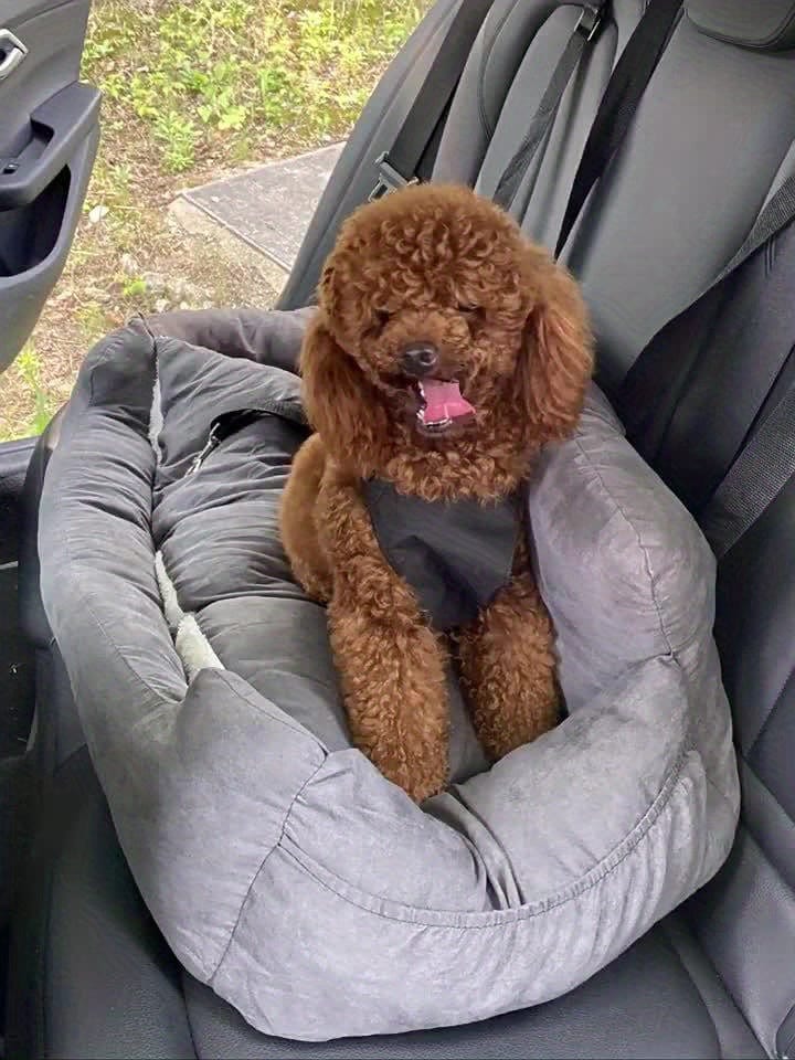 Brown poodle dans le siège auto pour chien Gray Polyester, parfait pour grands chiens