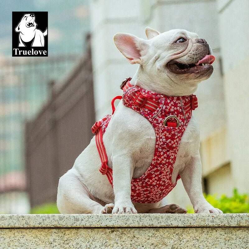 Harnais chien anti traction Truelove Country Plus rouge coquelicot pour Bulldog blanc