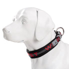 Collier pour chien Winhyepet rembourré réflechissant - Noir - L