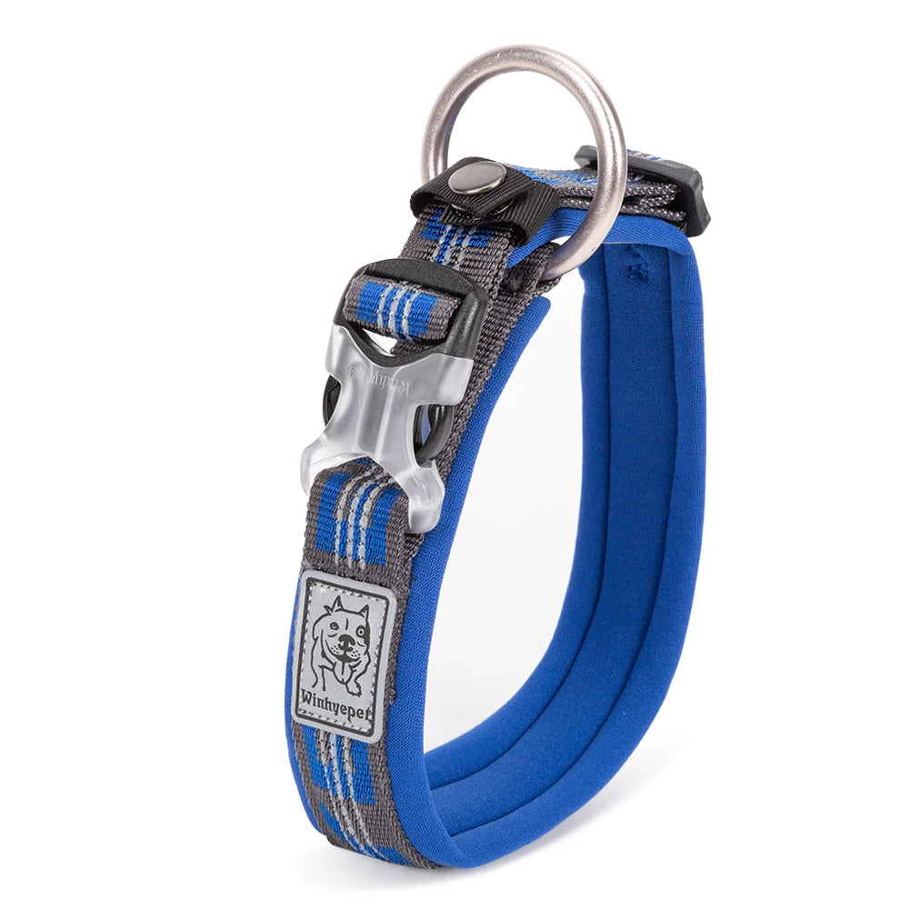 Collier pour chien Winhyepet rembourré réflechissant - Bleu - XS