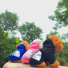 Pull à capuche THE DOG FACE gros logoRose3XL