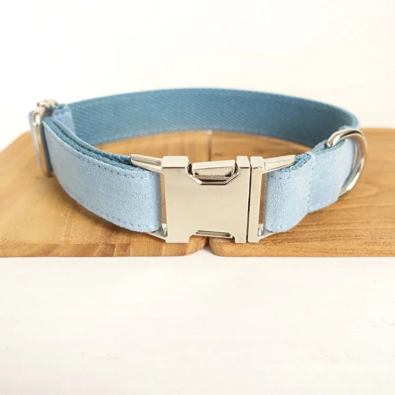 Collier pour chien personnalisé en velours lisse