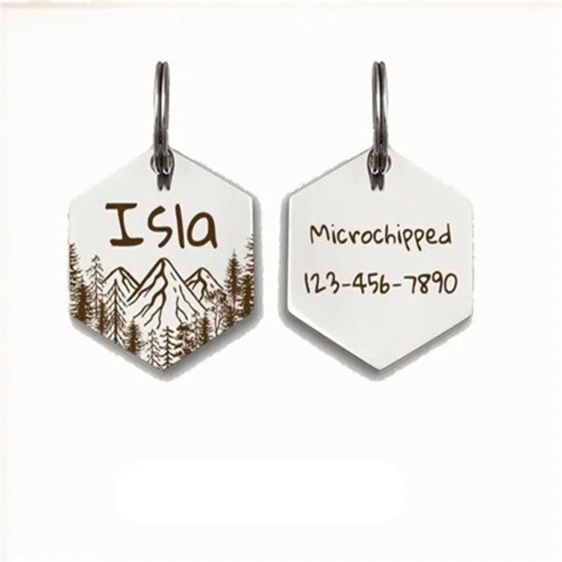 Médaille pour chien gravée – modèle hexagonal montagne (acier inox personnalisable)