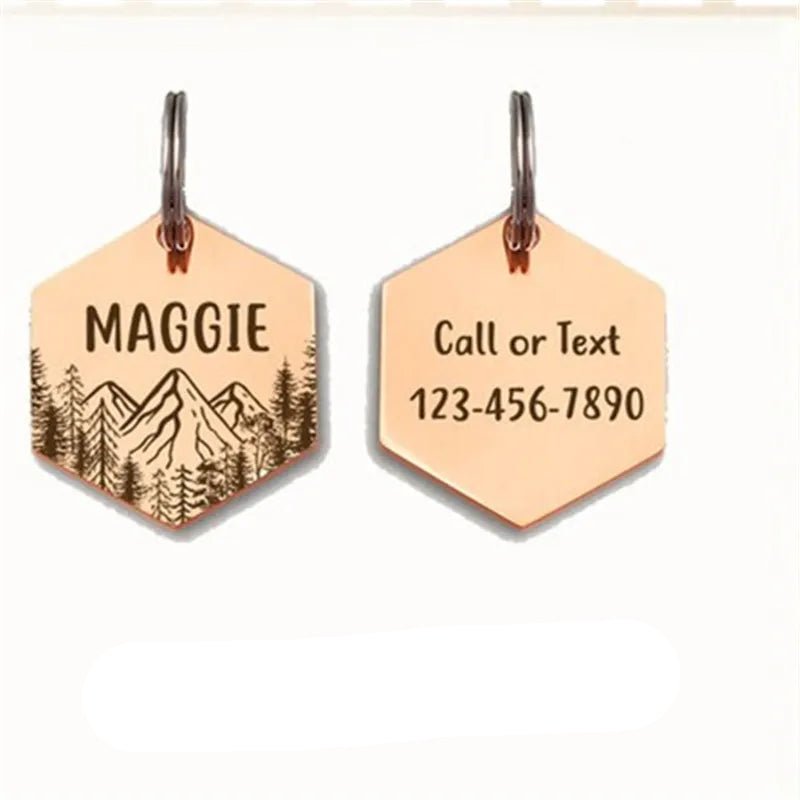 Médaille pour chien gravée – modèle hexagonal montagne (acier inox personnalisable)