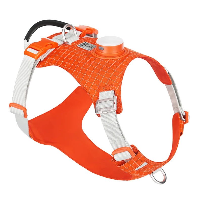 Harnais chien anti traction Truelove avec LED rechargeable, support GPS, modèle TLH6771