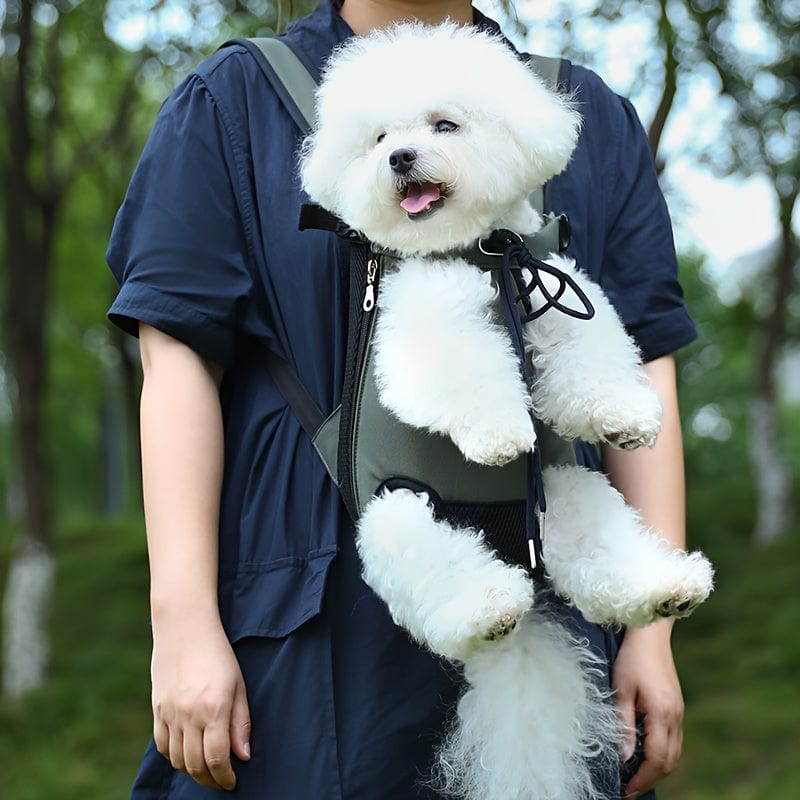 Chat blanc dans un sac pour chien, accessoires pour chiens pour aventures outdoor