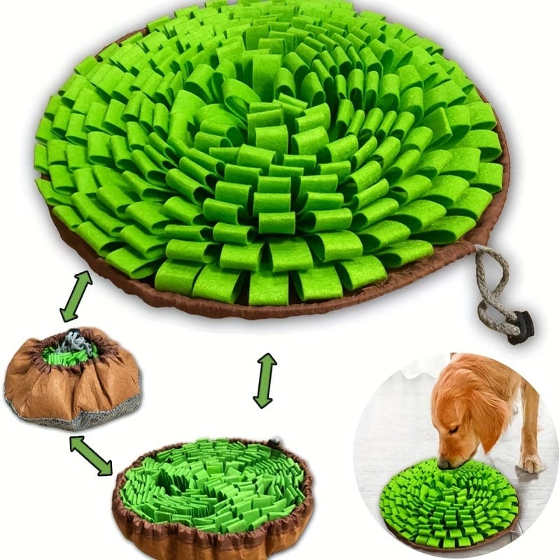 Tapis de chien vert circulaire pour l’enrichissement et la stimulation mentale des chiens