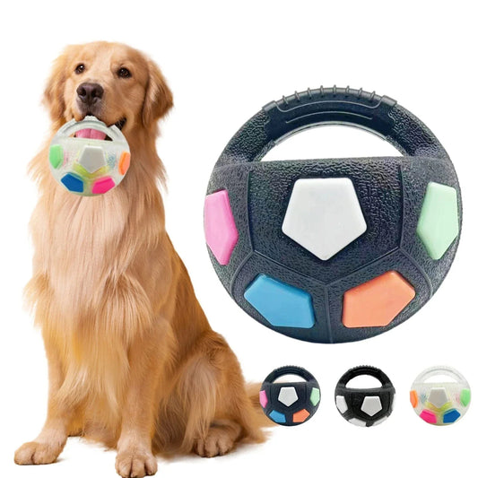 Golden retriever avec la Balle de football avec sifflet intégré en caoutchouc résistant