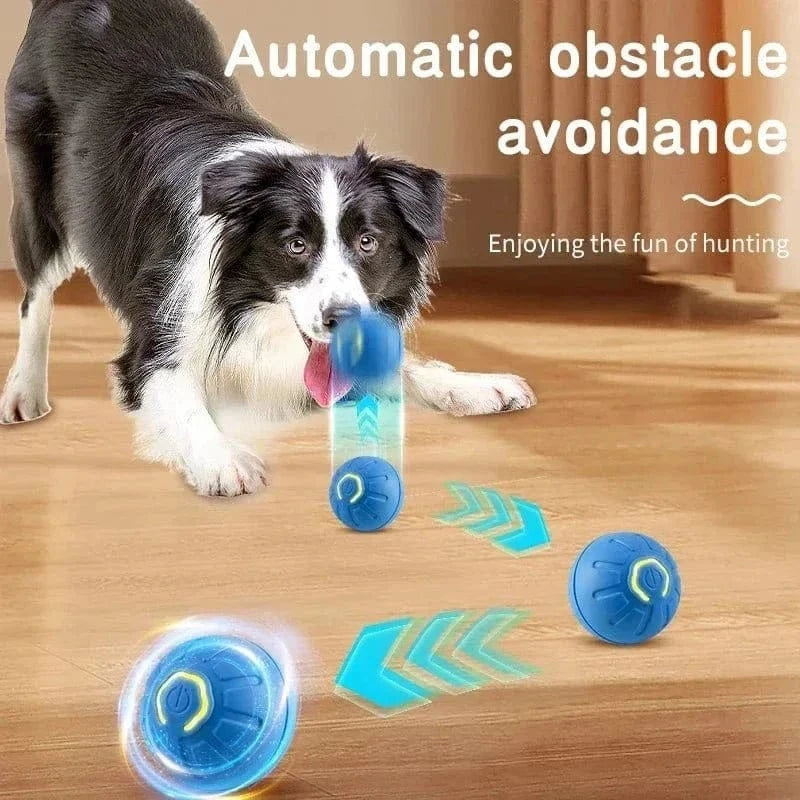 Balle rebondissante interactive en plastique bleu résistant aux morsures pour chiens