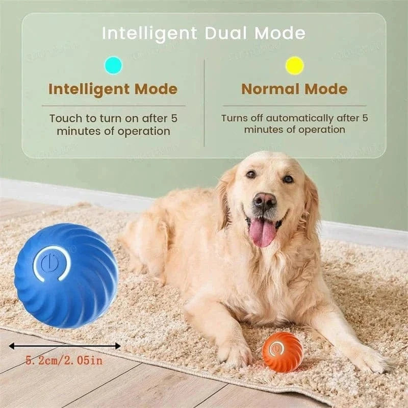 Balle rebondissante interactive résistante aux morsures, fun pour chien avec dual modes