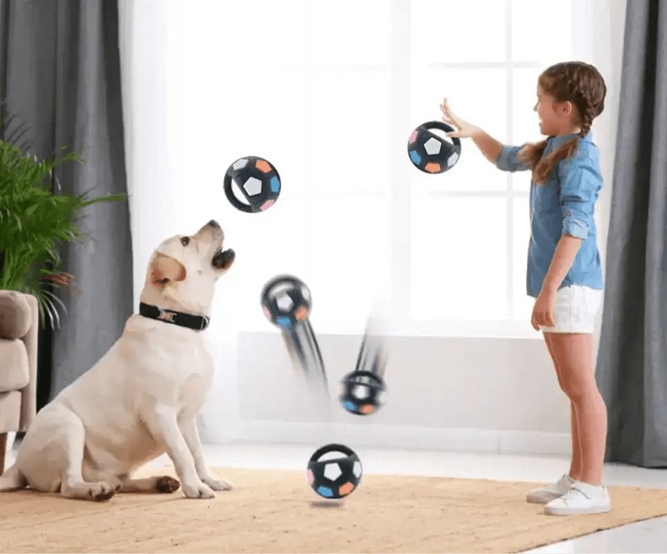 Enfant et chien jouant avec le ballon résistant pour chien avec poignée et sifflet intégré