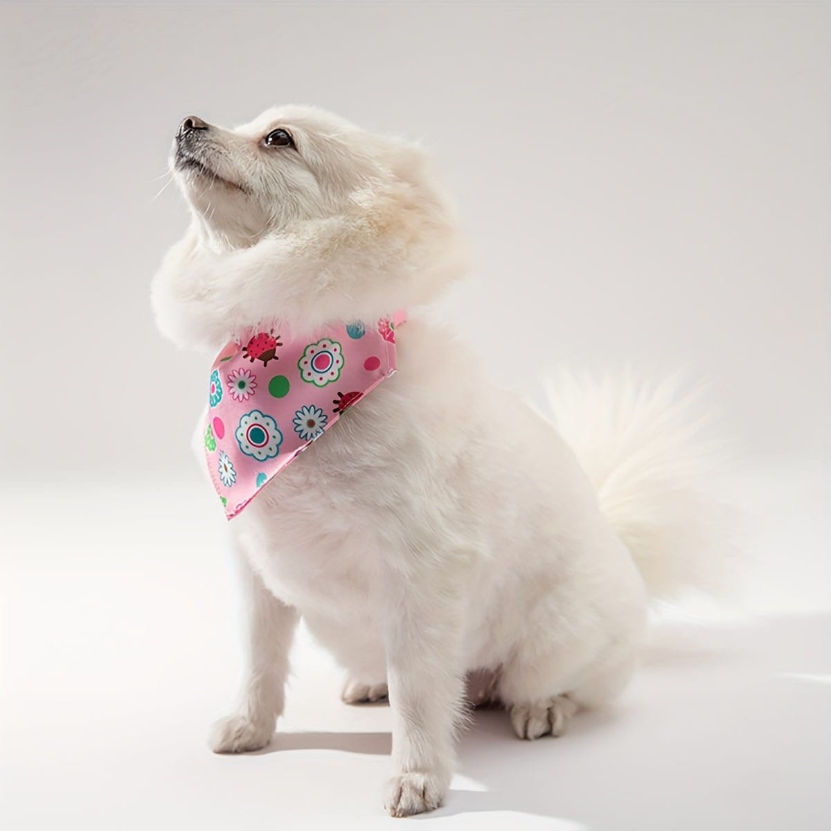 Chien blanc avec bandana floral dans le style original Bandana Style Original en polyester doux