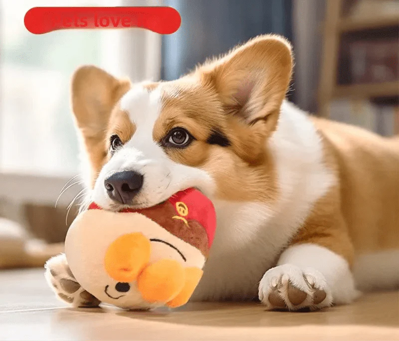 Corgi avec plush toy, parfait pour jouet interactif électrique Boule roulante musicale USB