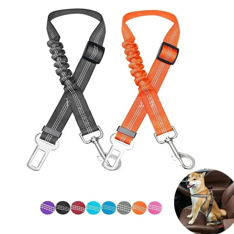 Ceinture de sécurité réglable pour chien avec confort optimal et sécurité optimale