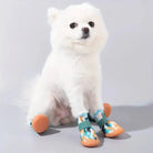 Chaussures antidérapantes pour chien colorées avec motifs mignons et semelle grip