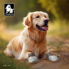 Chaussures pour chien Truelove respirantes antidérapantes - Rose / violet - 1
