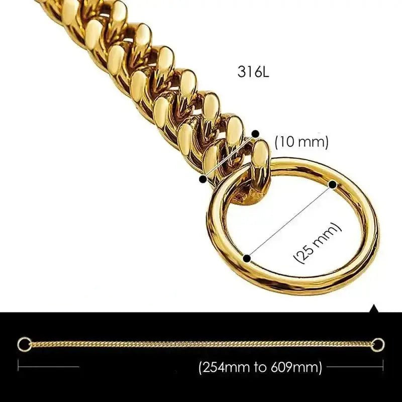Collier chaîne brillante pour chien en acier inoxydable avec anneau et détails de taille