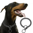 Doberman portant un collier chaîne brillante pour chien en acier inoxydable design robuste