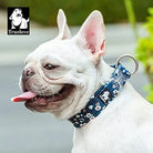 Collier pour chien motif floral bleu Truelove en coton duraflex ultra-résistante
