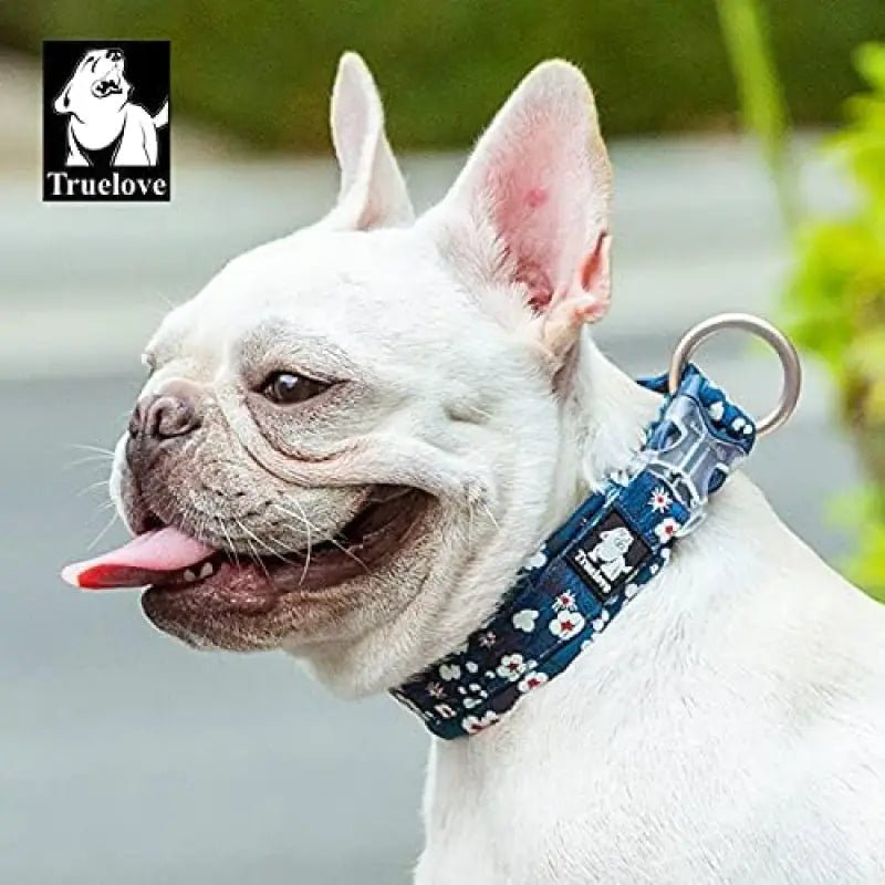 Collier pour chien motif floral bleu Truelove en coton duraflex ultra-résistante