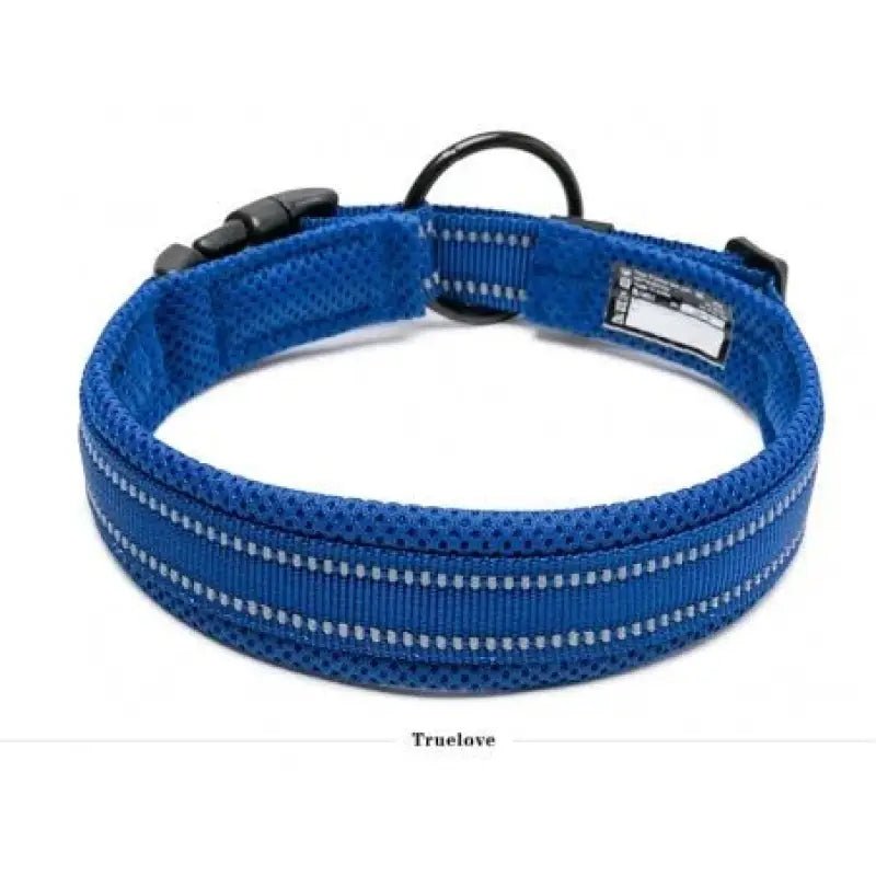 Collier pour chien Truelove en nylon rembourré avec bandes réfléchissantes et boucle à dégagement rapide