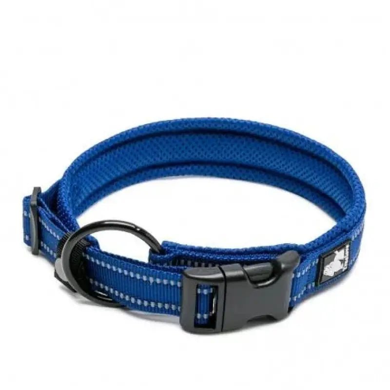 Collier pour chien Truelove en nylon rembourré avec bandes réfléchissantes et boucle noire