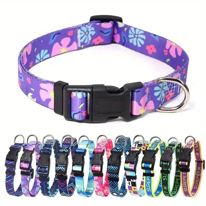 Collier pour chien à motifs colorés, ajustable, confortable et stylé pour votre chien