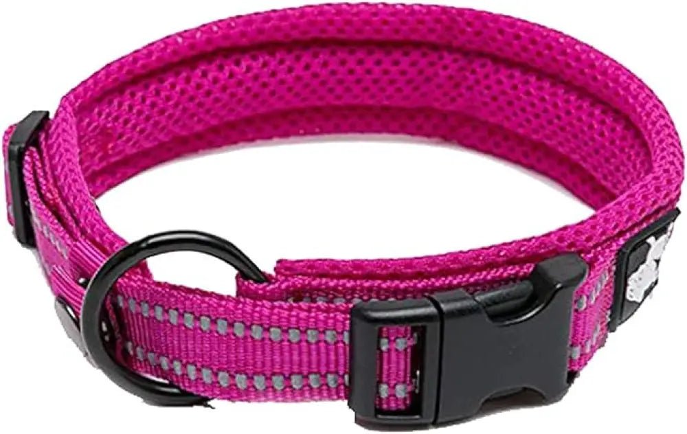 Collier chien Truelove fuchsia en nylon rembourré avec bandes réfléchissantes