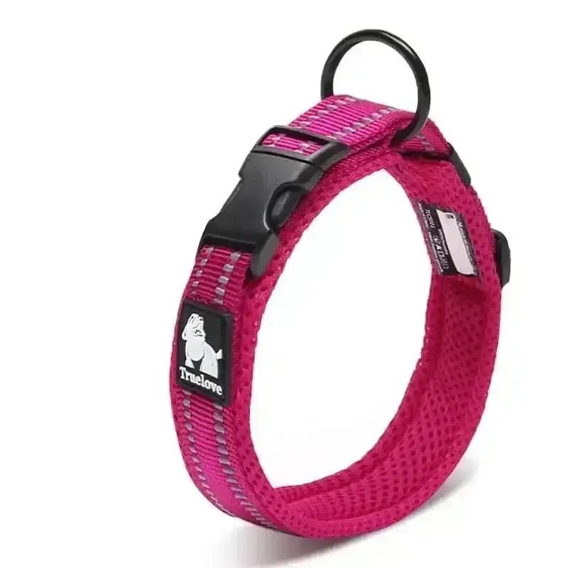 Collier chien Truelove fuchsia avec bandes réfléchissantes, rembourré et boucle rapide