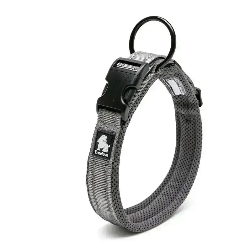 Collier chien Truelove gris avec boucle noire, métal D-ring, bandes réfléchissantes