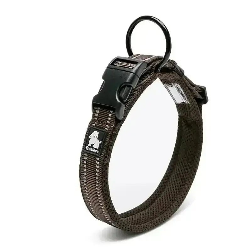 Collier chien Truelove rembourré en nylon avec boucle plastique et bandes réfléchissantes