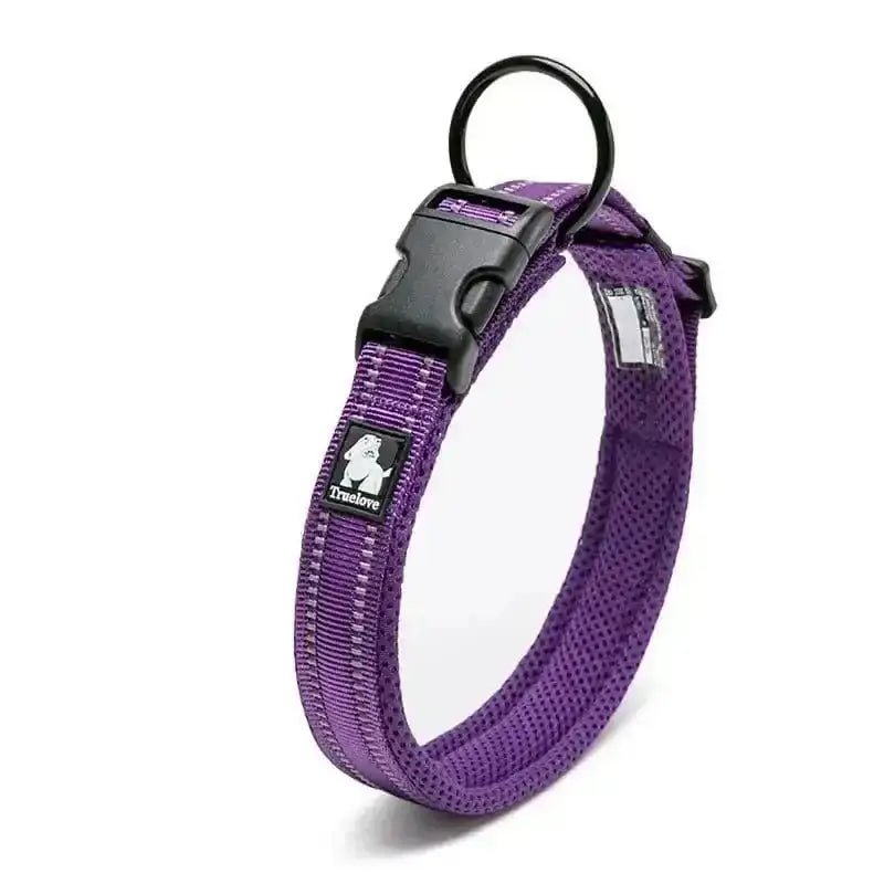 Collier chien Truelove rembourré en nylon violet avec bandes réfléchissantes et boucle noire