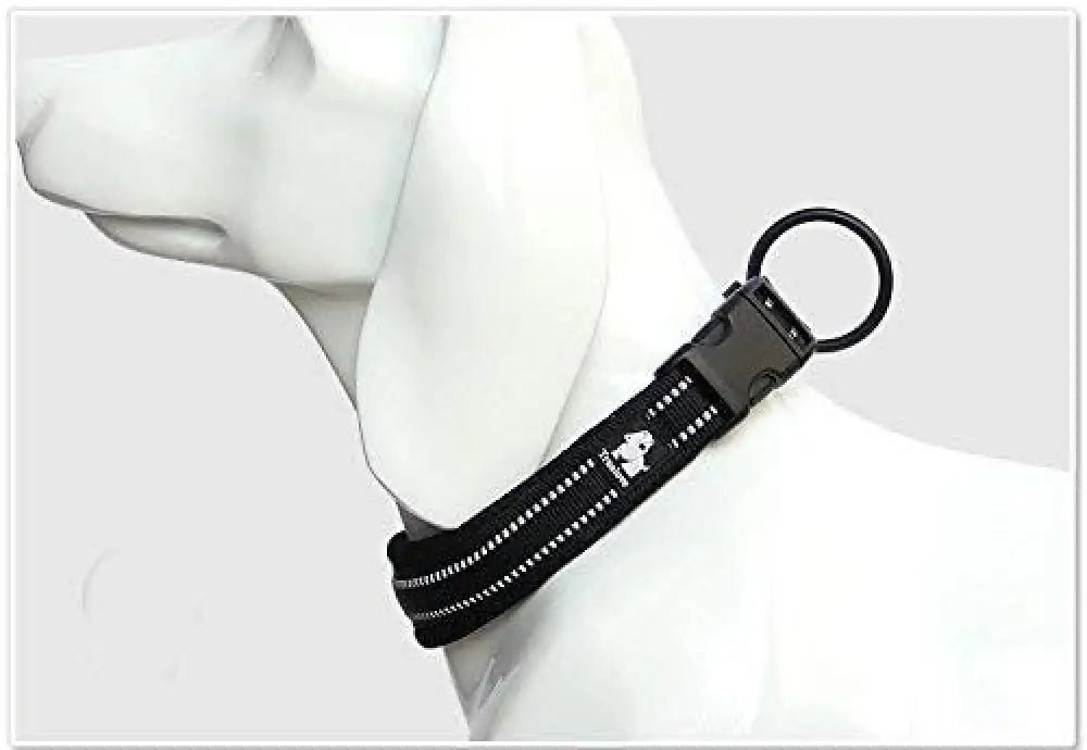 Collier pour chien noir Truelove en nylon rembourré avec bandes réfléchissantes et boucle plastique
