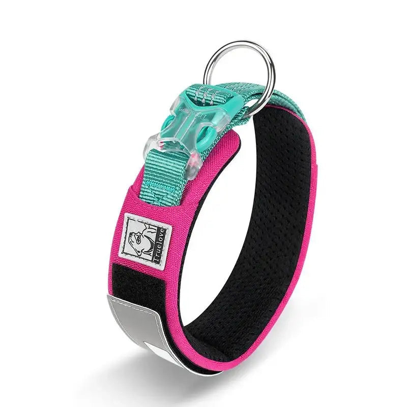 Collier pour chien en nylon Cordura avec patch personnalisable et boucle en plastique transparent