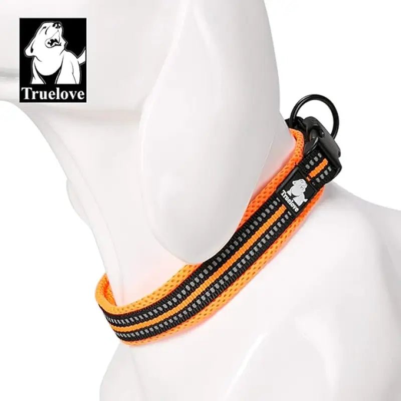 Collier chien Truelove orange rembourré avec bandes réfléchissantes et boucle à dégagement rapide