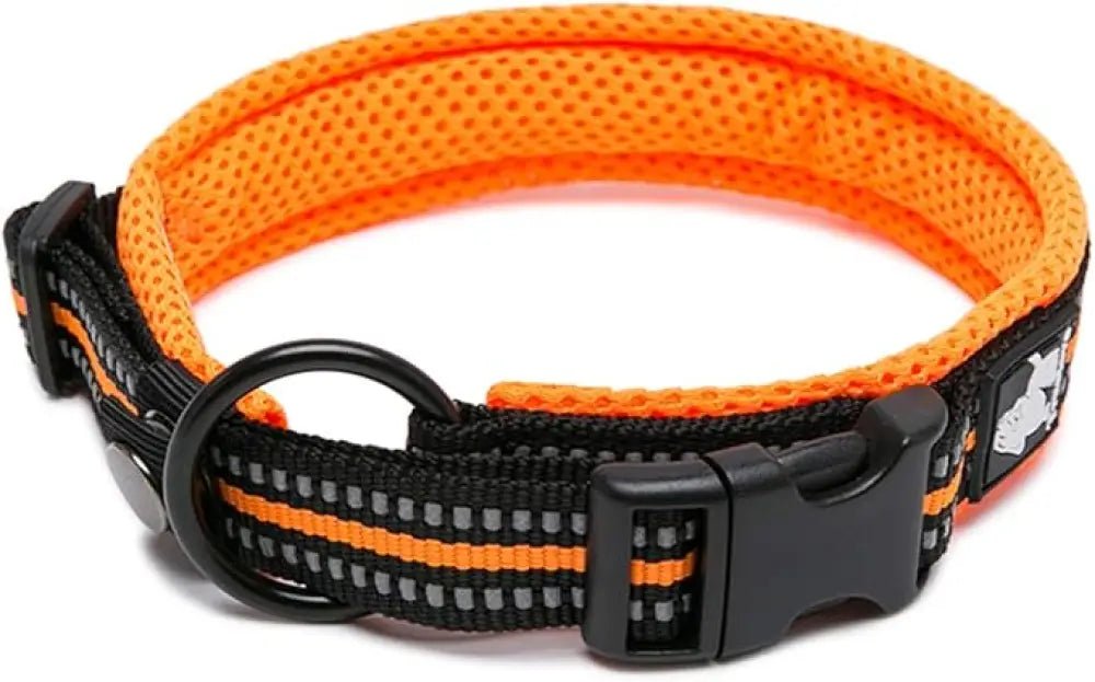 Collier chien Truelove orange avec bandes réfléchissantes et boucle à dégagement rapide