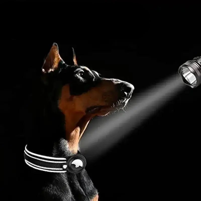 Collier pour chien réfléchissant avec emplacement Airtag, compatible GPS et support intelligent