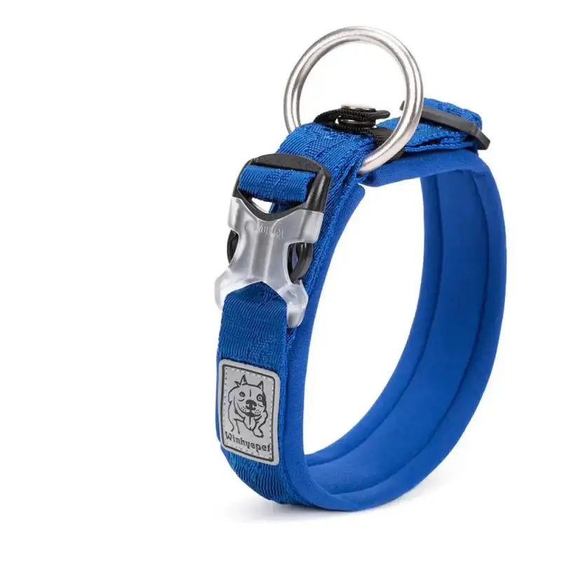 Collier pour chien rembourré en néoprène SBR avec boucle Duraflex et confort optimal